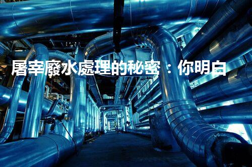 屠宰廢水處理的秘密：你明白那些污水如何變清？